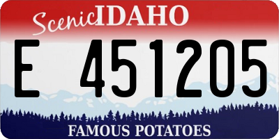 ID license plate E451205