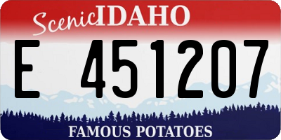 ID license plate E451207