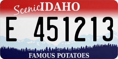 ID license plate E451213