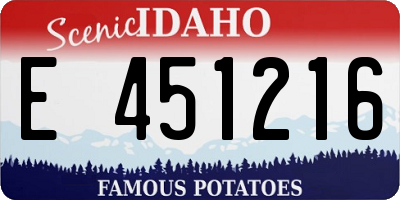 ID license plate E451216