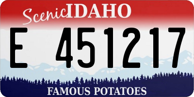 ID license plate E451217