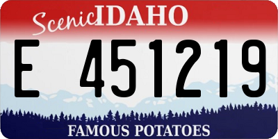 ID license plate E451219