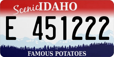 ID license plate E451222
