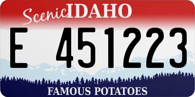 ID license plate E451223