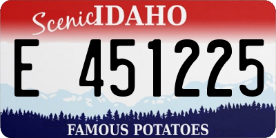 ID license plate E451225