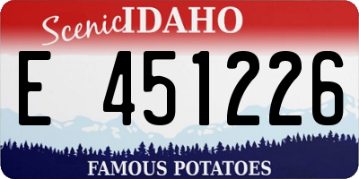 ID license plate E451226