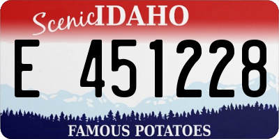 ID license plate E451228