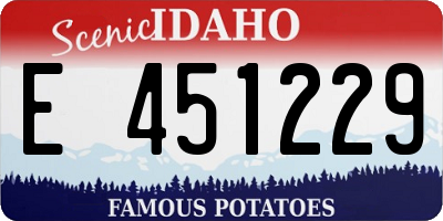ID license plate E451229