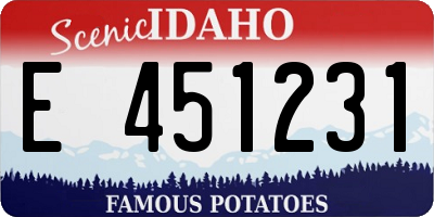 ID license plate E451231