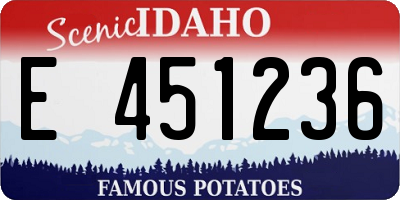 ID license plate E451236