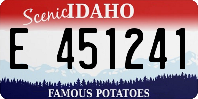 ID license plate E451241