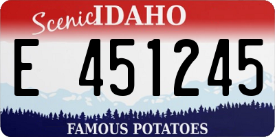 ID license plate E451245