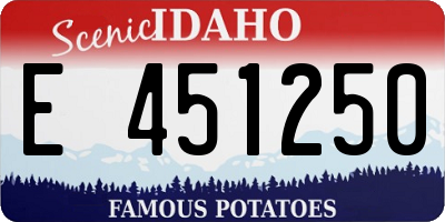 ID license plate E451250