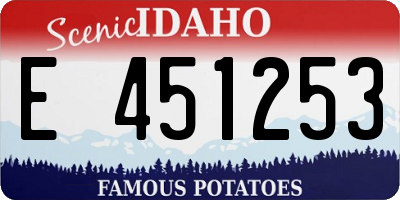ID license plate E451253
