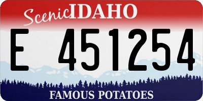 ID license plate E451254