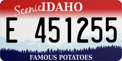 ID license plate E451255