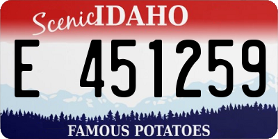 ID license plate E451259