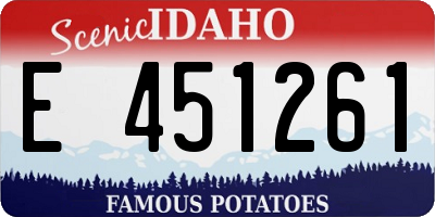 ID license plate E451261