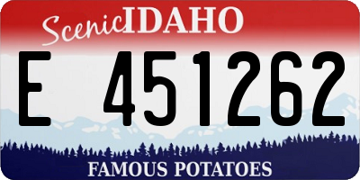 ID license plate E451262