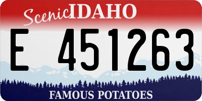 ID license plate E451263