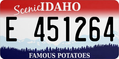 ID license plate E451264