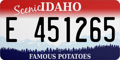 ID license plate E451265