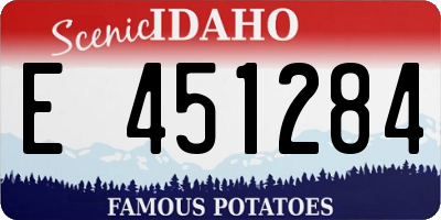 ID license plate E451284