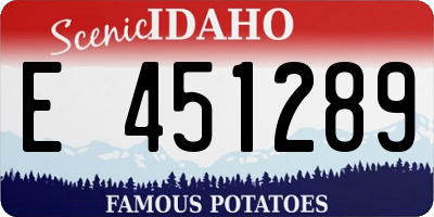 ID license plate E451289