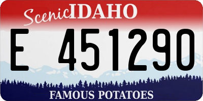 ID license plate E451290