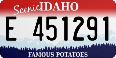 ID license plate E451291