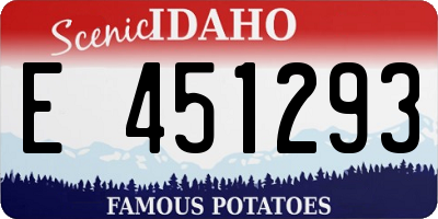 ID license plate E451293