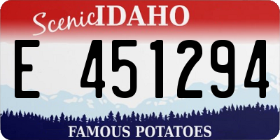 ID license plate E451294