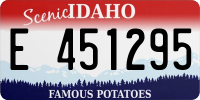 ID license plate E451295