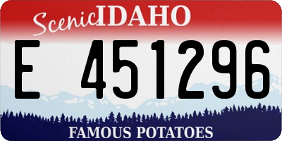 ID license plate E451296