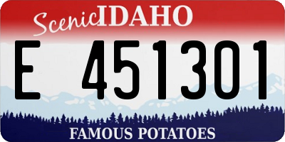 ID license plate E451301