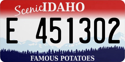 ID license plate E451302