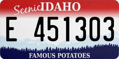 ID license plate E451303