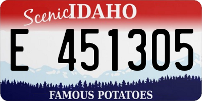 ID license plate E451305