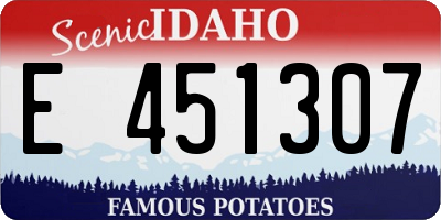 ID license plate E451307