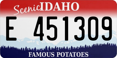 ID license plate E451309