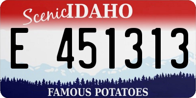 ID license plate E451313