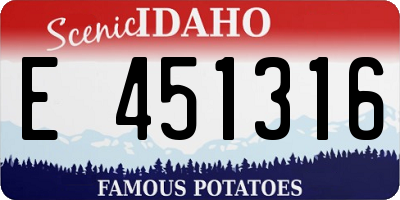 ID license plate E451316