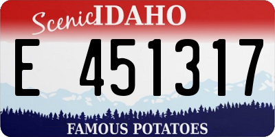 ID license plate E451317