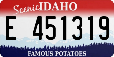 ID license plate E451319