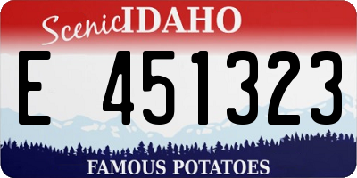 ID license plate E451323