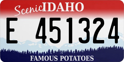 ID license plate E451324