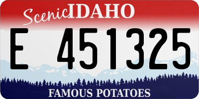 ID license plate E451325