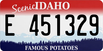 ID license plate E451329