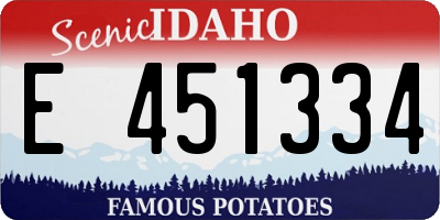 ID license plate E451334