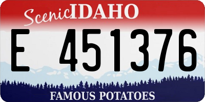 ID license plate E451376